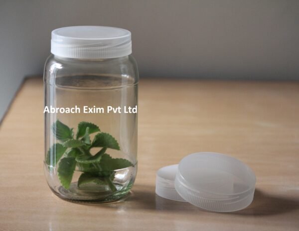 1000 ml Tissue Culture glass Jar - Image 3