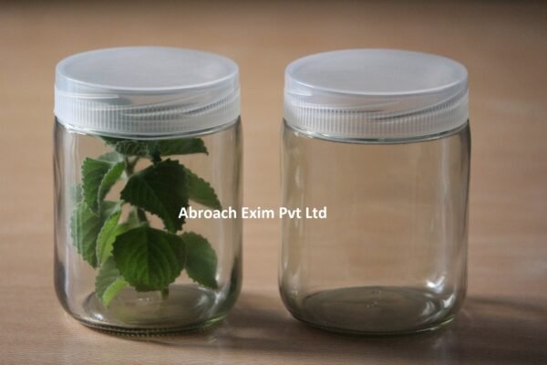 525 ml Tissue Culture glass Jar - Image 2