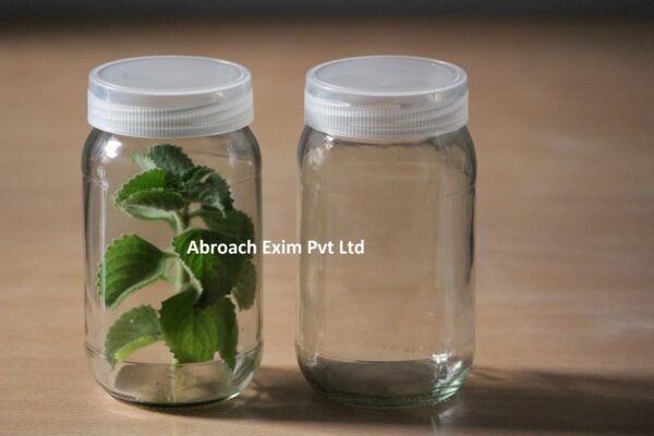 400 ml Tissue Culture glass Jar
