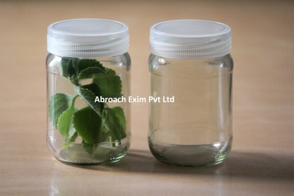 280 ml Tissue Culture glass Jar